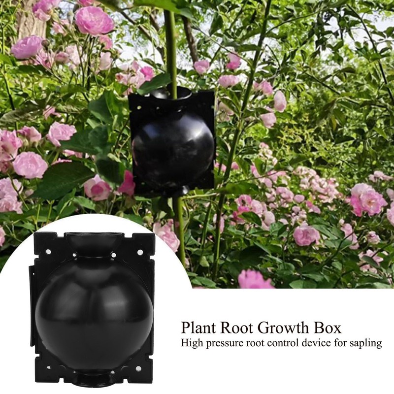 5Set Reusable Plant Rooting Device Grafting Reproduction Growing Box Gardening