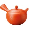 Tetera japonesa Kyusu Tokoname de arcilla hecha a mano 11,8