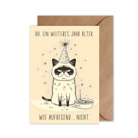 Funny Birthday Card with Envelope - Cats Birthday Card with Funny Saying Greeting Card for Birthday (DIN A6)