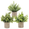 3pcs Potted Artificial Plant Fake Green Grass Leaves Artificial Simulation