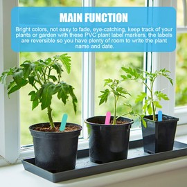 300pcs Plant Name Tags, 6 Colors 4 Inch Garden Labels Markers Plant Labels Waterproof Plant Label Stakes for Outdoor Garden(6 Colors)