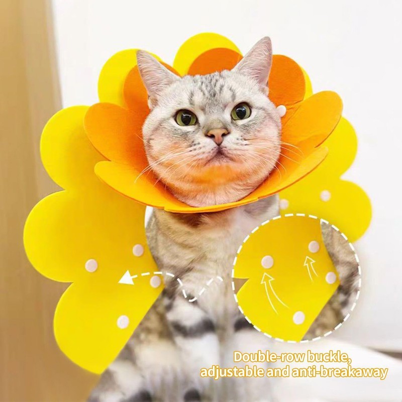 CWPFVQA Pack of 2 Cute Pet Collars, Adjustable Pet Collars,