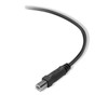 Belkin Premium Printer Cables Cable10 Ft4 Pin USB Type B