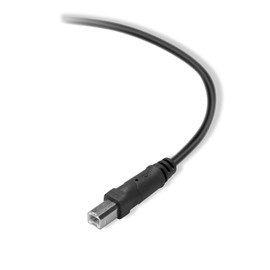 Belkin Premium Printer Cables Cable10 Ft4 Pin USB Type B to 4 Pin USB Type A, Black (F3U154BT3M)
