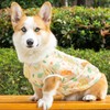 Paipeper 犬 服 中型犬 大型犬 犬の服 夏服 ドッグウェア Tシャツ クールウェア