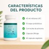 Probióticos y Prebióticos Premium para 2 Meses ULTRA 45 Billones
