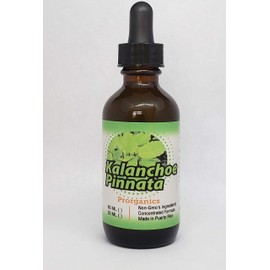 Kalanchoe Pinnata 2oz Tincture Prorganics