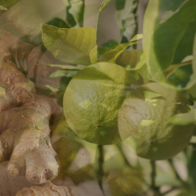 DR. VRANJES - CARPARFUM SET (GINGER LIME)
