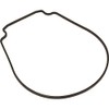 Pentair 357100 Black Seal Plate Gasket Replacement Pool and Spa