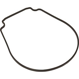 Pentair 357100 Black Seal Plate Gasket Replacement Pool and Spa Inground Pump