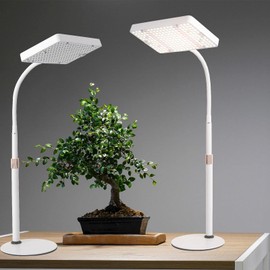 JINHONGTO 2Pack Desk Grow Light LED Full Spectrum UV IR, Veg Seed Starting Seedlings Bonsai Houseplant Plant Light, Table Top Grow Lights for Indoor Plants, 16"-24" Height Adjustable