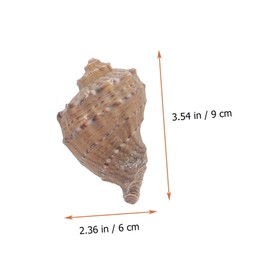 BESPORTBLE 1 Set Hermit Crab Conch Decorations Aquarium Seashells Fish Tank Landscaping Decor Fish Tank Conch Fish Tank Adornment Hermit Crabs Shell Couch Ornaments Natural Conch