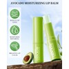 Lip Balm Pack of 5 Lip Balm with Avocado, Long-Lasting