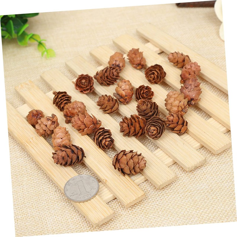 CAXUSD 100pcs Mini Pine Cone Decor Artificial Pine Cones for