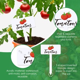 Teeloray 30 Pcs Acrylic Vegetable Labels Signs Waterproof Plant Marker Garden Stake Tags with Vegetable Name 15 Styles T-Type Markers Reusable for Nursery Indoor Outdoor Spring Garden Decoration
