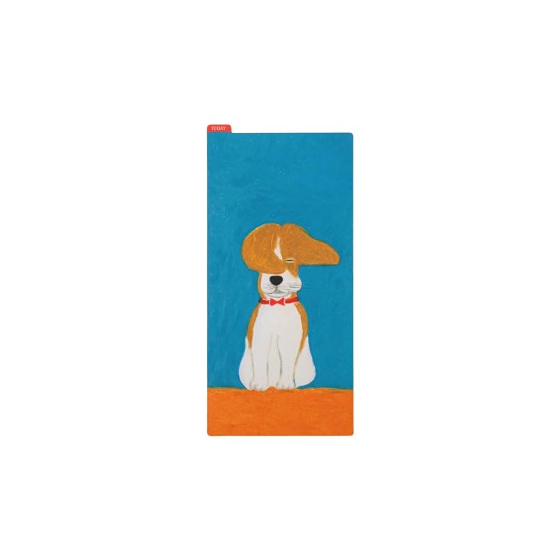 Almost daily Notebook Keiko Shibata / Almost Sun-day ajiki Wait!,