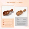 Komforbaa 3PCS Wooden Coffee Scoop, Natural Mini Measuring Spoon for