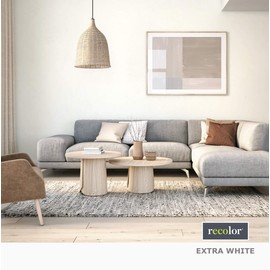 RECOLOR Paint Recycled Interior Latex Paint Wall Finish, 1 Quart, Interior - White Flat (Flat Finish)