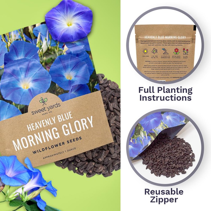Morning Glory Seeds Heavenly Blue - Large 1 Ounce Packet