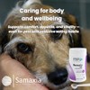 Renal+ MP Advanced for Dogs & Cats - Daily Kidney