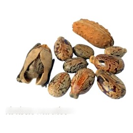 Aceite De Ricino Orgánico Certificado, 100  Puro, Prensado                                                                                            
