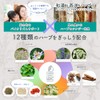 PUMOS Chest Tree Supplement, Made in Japan, 100% Natural Origin,