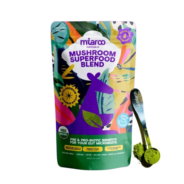 Matcha Mushroom Blend with Adaptogenic Mushrooms | Ceremonial Matcha |