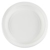 Blue Sky 10 Inch White Plastic Plates - [100 Count]