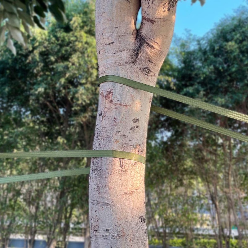 Tenn Well Tree Support Strap, 65 Feet x 1 inch