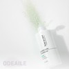 Eclat Dutin Enzyme Spirulina Enzyme Cleanser 80g Spirulina Cleanser 80g