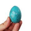 Bacatgem Green Howlite Turquoise Egg-Shape Meditation Chakra and Home Decor