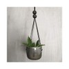 East of India: Boxed Rustic Planter - Black Wash