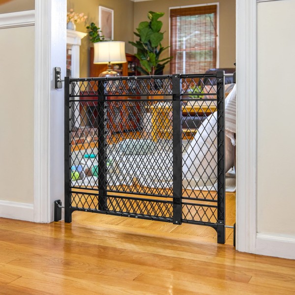 Ingenuity Doorway 42W Series Baby and Dog Gate, Fits 23-42"