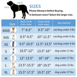 AIITLE No Pull Dog Harness and Leash Set, Step in Adjustable Dog Harness with Padded Vest for All Weather, Dog Leash with Soft Padded Handle, Easy to Put on Small and Medium Dogs Pure Blue S