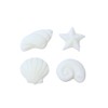 Oasis Supply Seashells and Starfish Sugar Decorations, Cupcake Toppers, 12