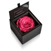 Amorosa AM85FS-12 Preserved Flowers, Diamond Rose Box 85, Hot Pink,