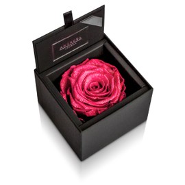 Amorosa AM85FS-12 Preserved Flowers, Diamond Rose Box 85, Hot Pink, For Mother's Day, Birthday, Anniversary, Proposal