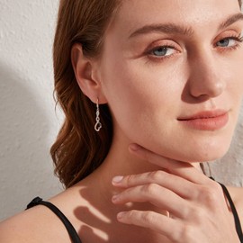 Dangle Heart Earrings Silver Drop Earrings for Women 925 Sterling Silver Earrings Dangle CZ Earrings Zircon Earrings Sterling Silver Hook Earrings Infinity Dangly Earrings