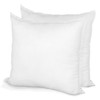 Pillow Insert 10" x 10" Polyester Filled Standard Cover (2