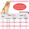 GAMUDA Collar y correa de terciopelo para perro, súper suave