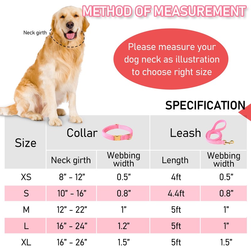 GAMUDA Collar y correa de terciopelo para perro, súper suave