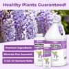 Wisteria Fertilizer – Liquid Plant Food for More Blooms, Stronger