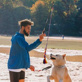 YINOR Flirt Pole for Dogs-Interactive Lures Durable Rope,Chase and Tug of war Puppy Toy，Outdoor Dog Agility Training Equipment Plush，Teaser Chew Pet Kits for Small Medium Dogs