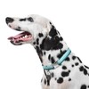 Now House for Pets by Jonathan Adler: Now House Green