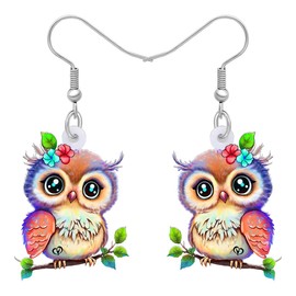 DUOWEI Cute Owl Gifts for Women Acrylic Cartoon Owl Earrings Dangle Jewellery Birthday Charm for Teenager Girls Owl Lovers, Acrylic, No Gemstone