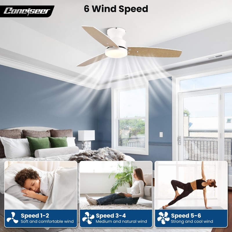 Modern Ceiling Fans with Lights, 42 Inch Ceiling Fan with