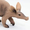 Aardvark by Safari