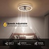 LUDOMIDE 24 Inch Ceiling Fans with Lights and Remote, Modern