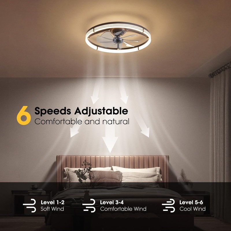 LUDOMIDE 24 Inch Ceiling Fans with Lights and Remote, Modern