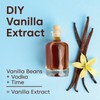 Wilderness Poets, Whole Vanilla Beans, Tahitian Variety Grown in Papua